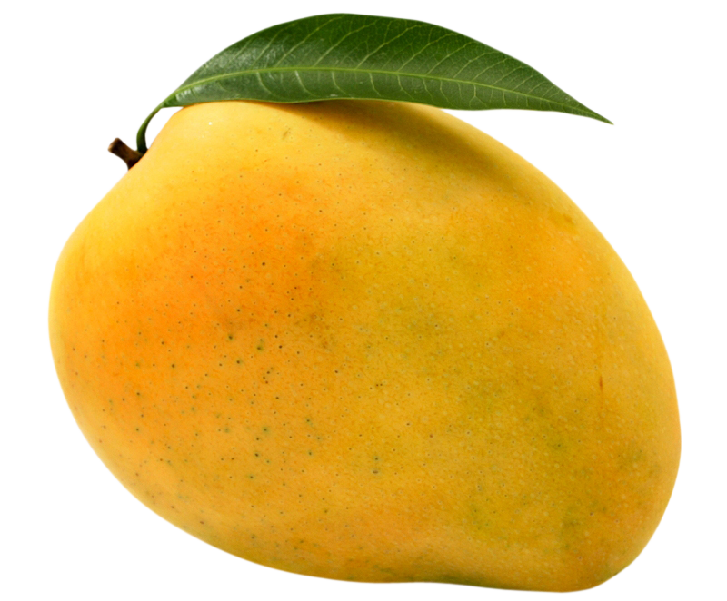 mango png, mango png image, mango transparent png image, mango png full hd images download